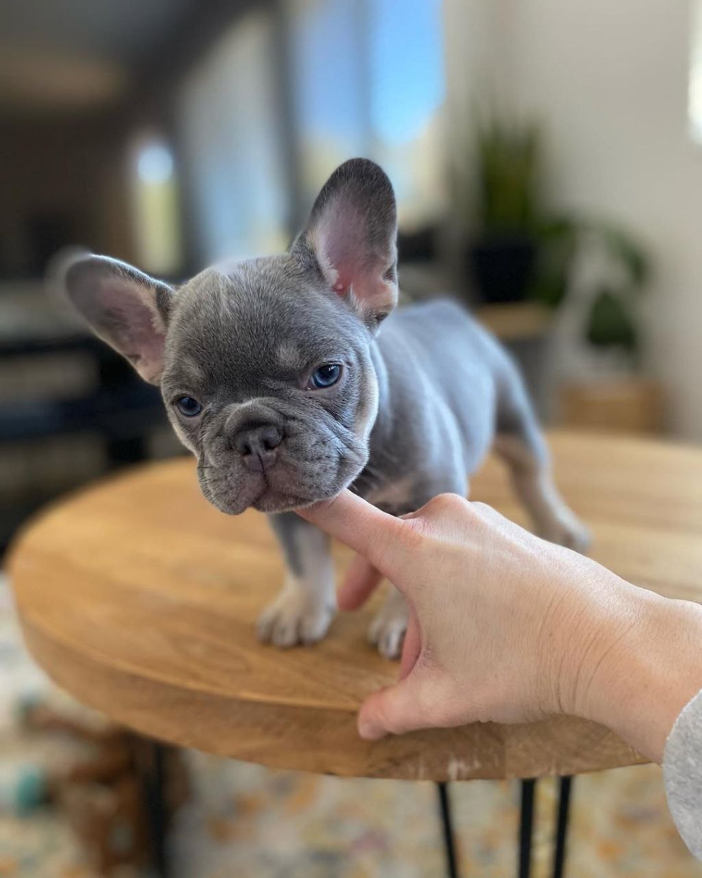 Cooper